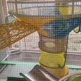 室内绳网乐园游乐园儿童游乐设备