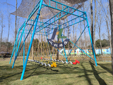 户外游乐设施双龙秋千多人秋千
