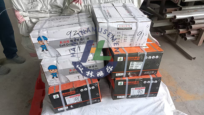 发往波兰七彩旱滑